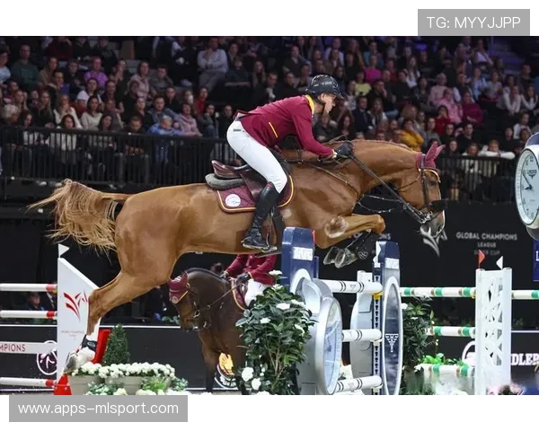 马术训练中小马乱跑，骑手却说“它在热身”